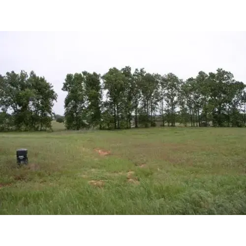 Buy Land